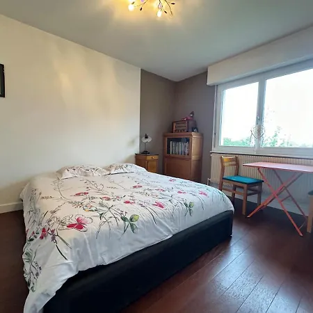 Hébergement de vacances Maison - Piscine - 6 Personnes - 20 Min Du Centre à Pied Colmar